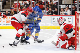 Sabres Hurricanes Hockey