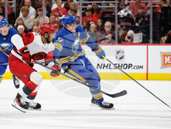 Sabres Hurricanes Hockey