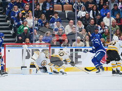 Bruins Maple Leafs Hockey