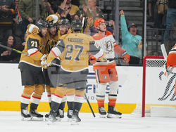 Ducks Golden Knights Hockey
