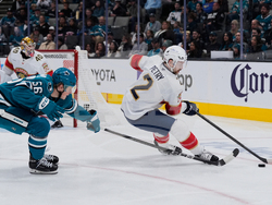 Panthers Sharks Hockey