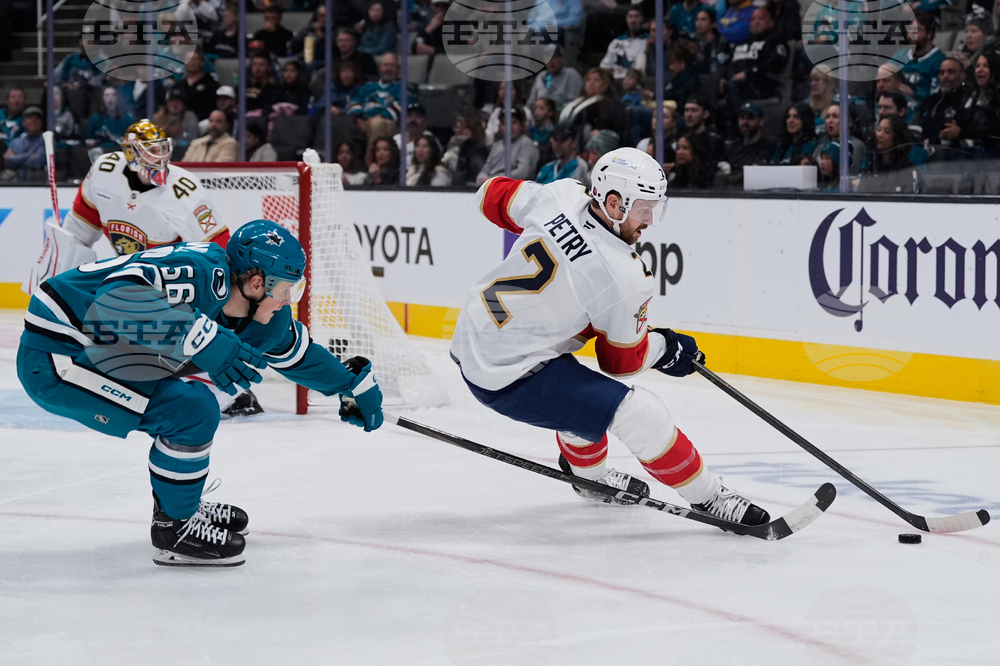 Panthers Sharks Hockey