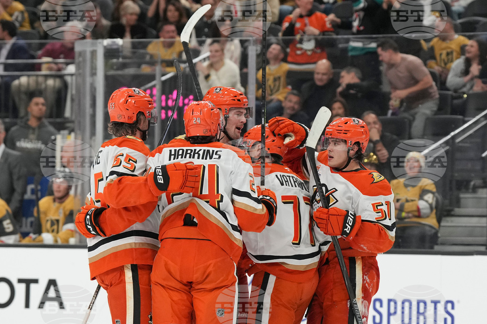 Ducks Golden Knights Hockey