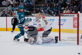 Panthers Sharks Hockey