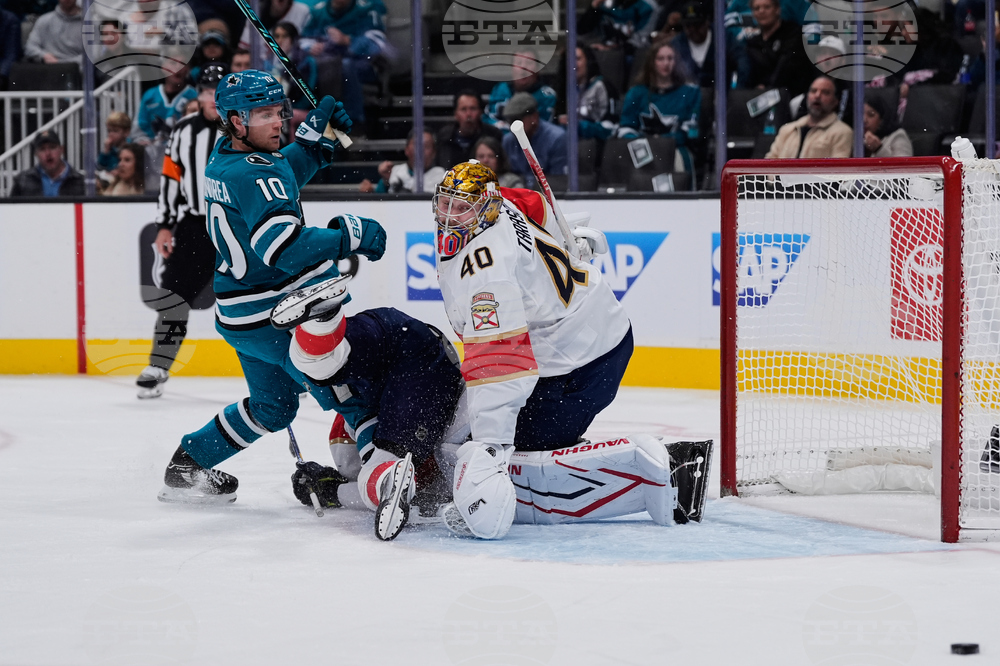 Panthers Sharks Hockey