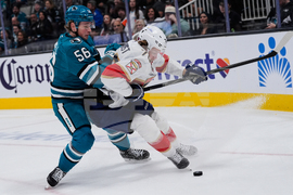 Panthers Sharks Hockey