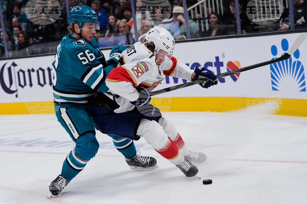 Panthers Sharks Hockey