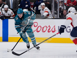 Panthers Sharks Hockey