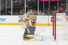 Ducks Golden Knights Hockey