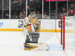 Ducks Golden Knights Hockey