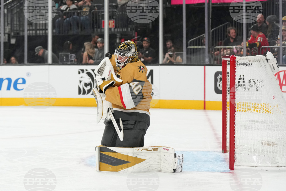 Ducks Golden Knights Hockey