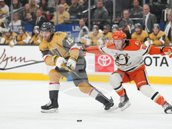 Ducks Golden Knights Hockey