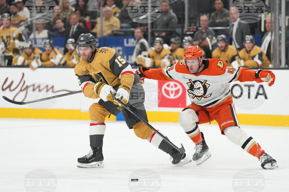 Ducks Golden Knights Hockey