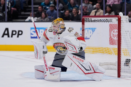 Panthers Sharks Hockey