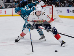 Panthers Sharks Hockey