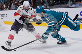 Panthers Sharks Hockey