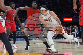 Trail Blazers Heat Basketball