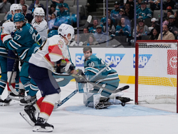 Panthers Sharks Hockey