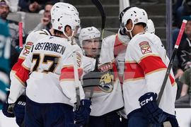 Panthers Sharks Hockey