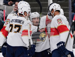 Panthers Sharks Hockey