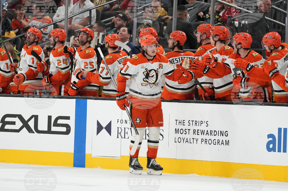 Ducks Golden Knights Hockey