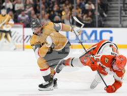 Ducks Golden Knights Hockey