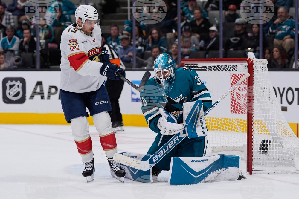 Panthers Sharks Hockey