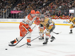 Ducks Golden Knights Hockey