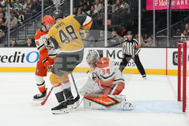 Ducks Golden Knights Hockey