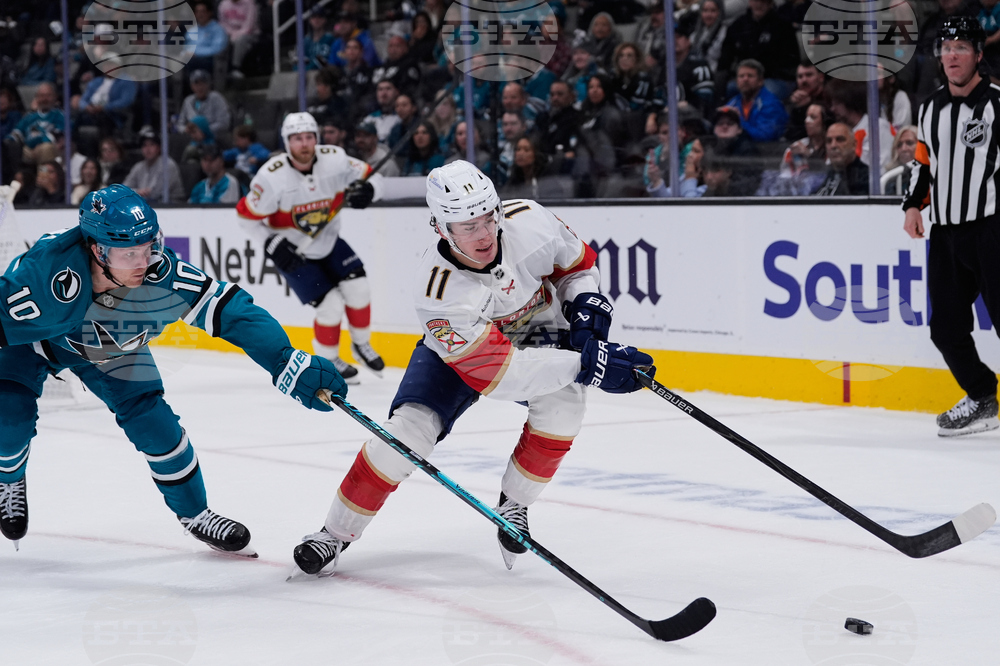 Panthers Sharks Hockey