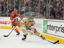 Ducks Golden Knights Hockey