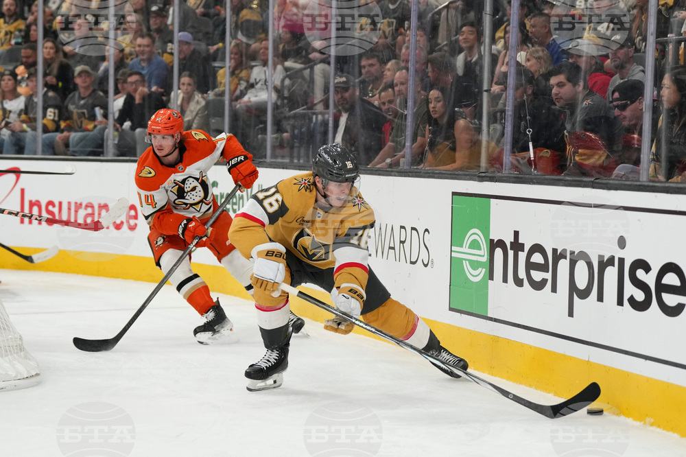 Ducks Golden Knights Hockey