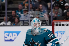 Panthers Sharks Hockey