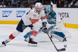 Panthers Sharks Hockey