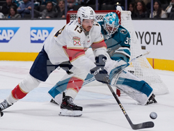 Panthers Sharks Hockey