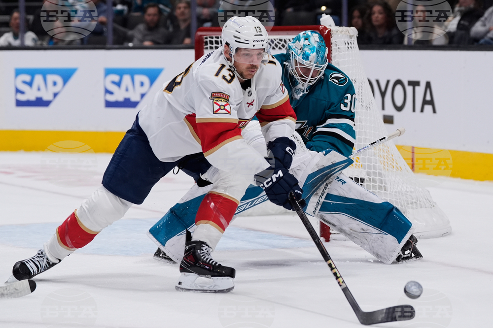 Panthers Sharks Hockey