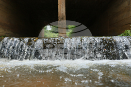 Ghana Illegal Mining