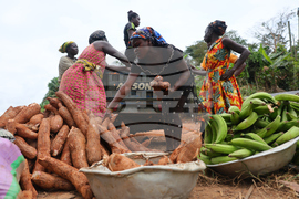 Ghana Illegal Mining