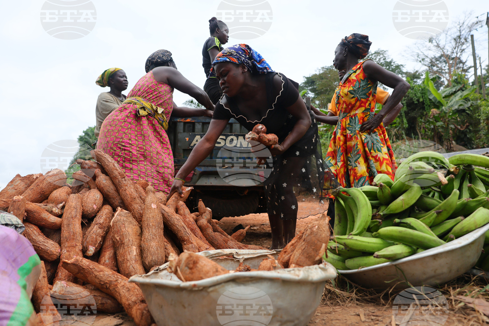 Ghana Illegal Mining