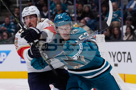 Panthers Sharks Hockey