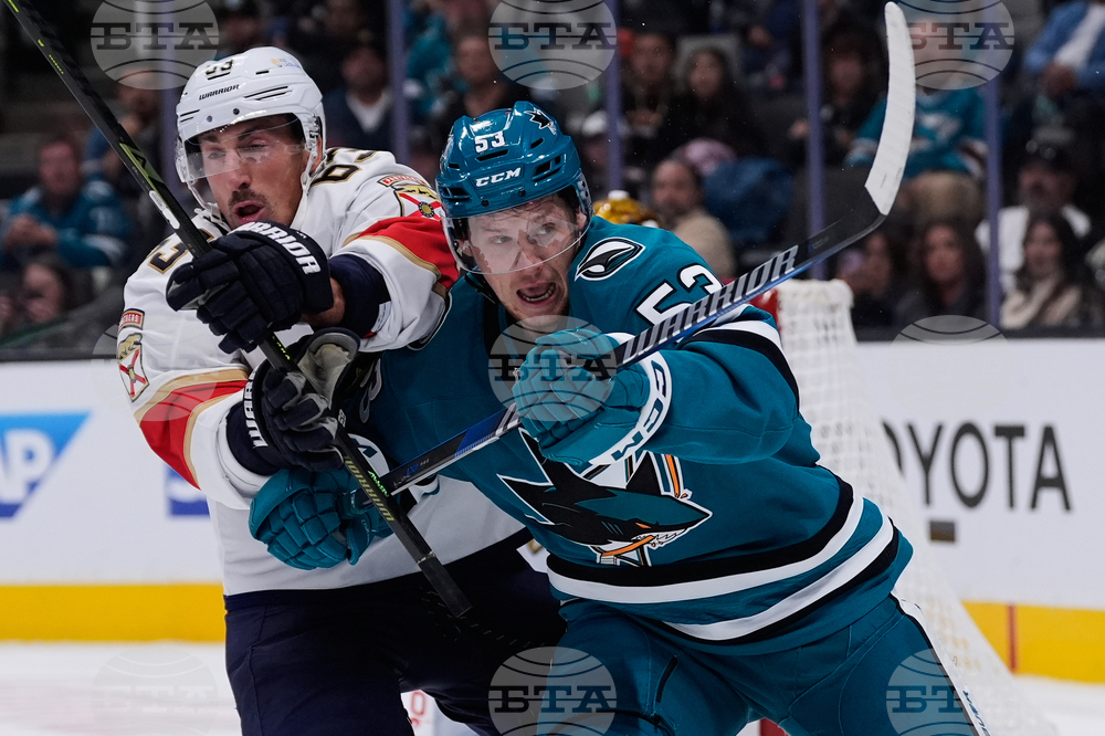 Panthers Sharks Hockey