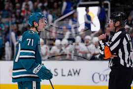 Panthers Sharks Hockey