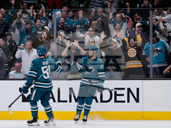 Panthers Sharks Hockey