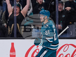 Panthers Sharks Hockey