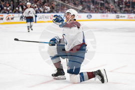 Avalanche Oilers Hockey