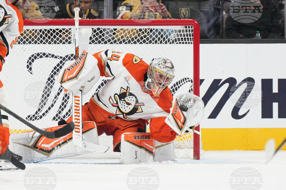 Ducks Golden Knights Hockey