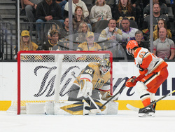 Ducks Golden Knights Hockey