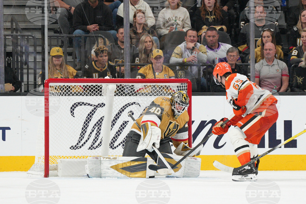 Ducks Golden Knights Hockey