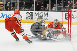 Ducks Golden Knights Hockey