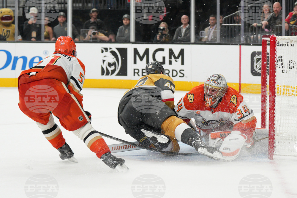 Ducks Golden Knights Hockey